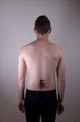 Spine Pieces